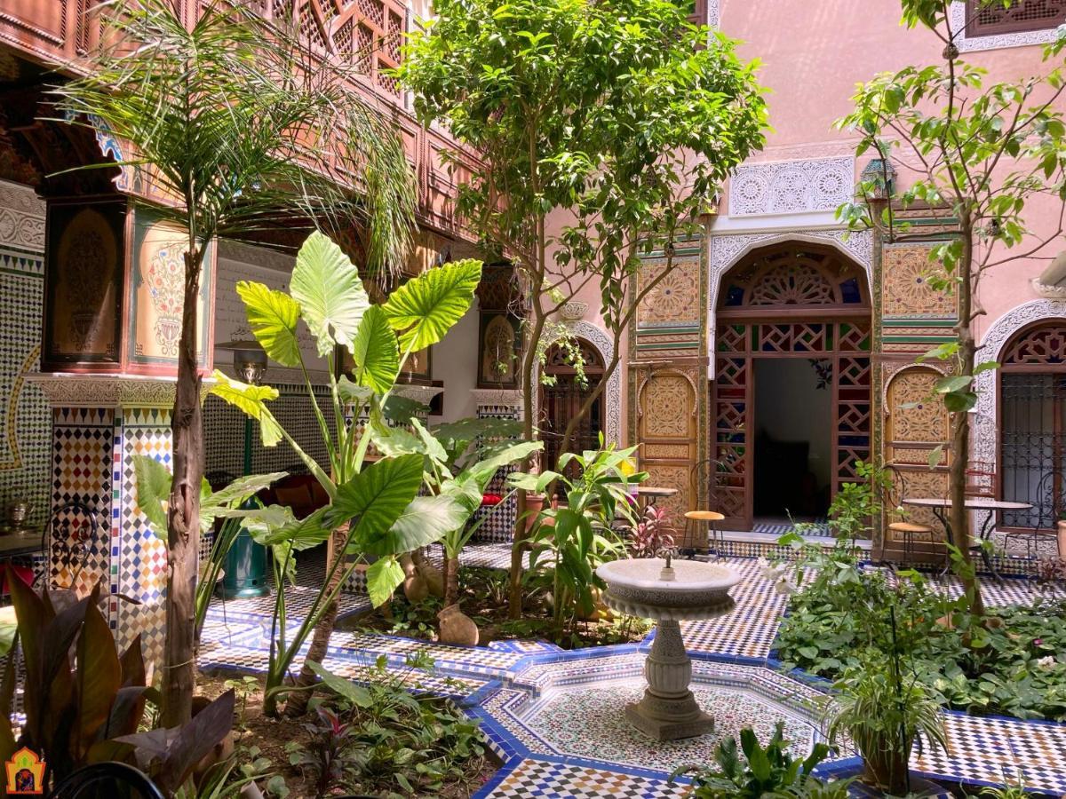 Toyour- Of Birds Riad 3*