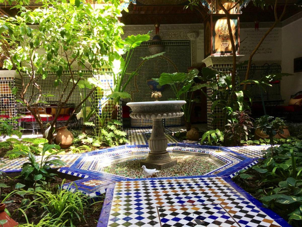 Riad Toyour- Of Birds 3*