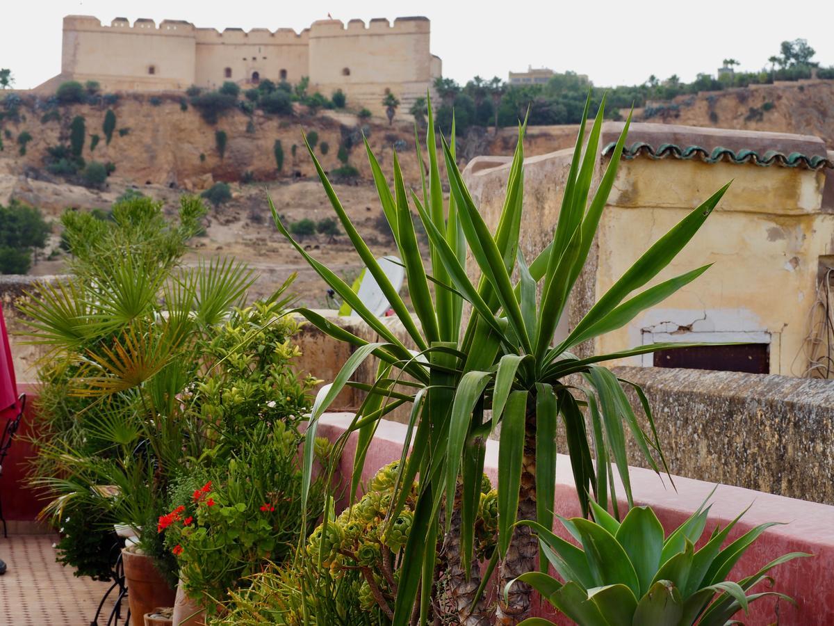 Riad Toyour- Of Birds Fes