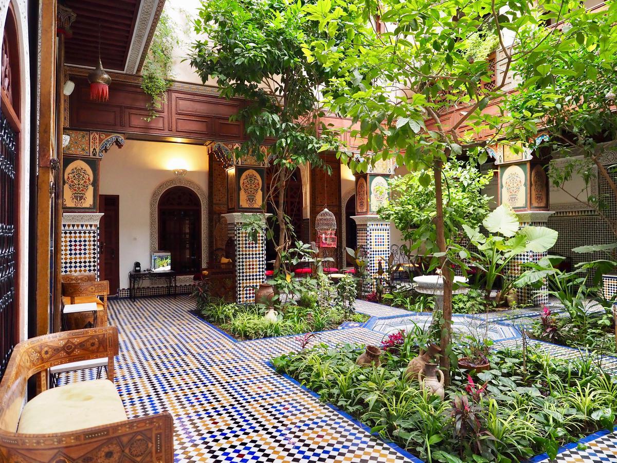 Toyour- Of Birds Riad