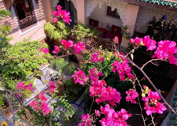 Riad Toyour- Riad Of Birds