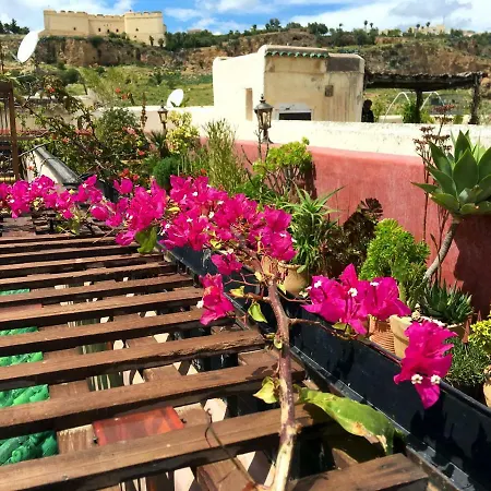 Riad Toyour- Riad Of Birds Fez Esterno foto