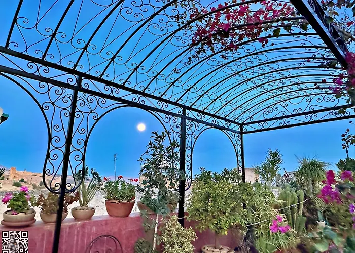 Riad Toyour- Riad Of Birds