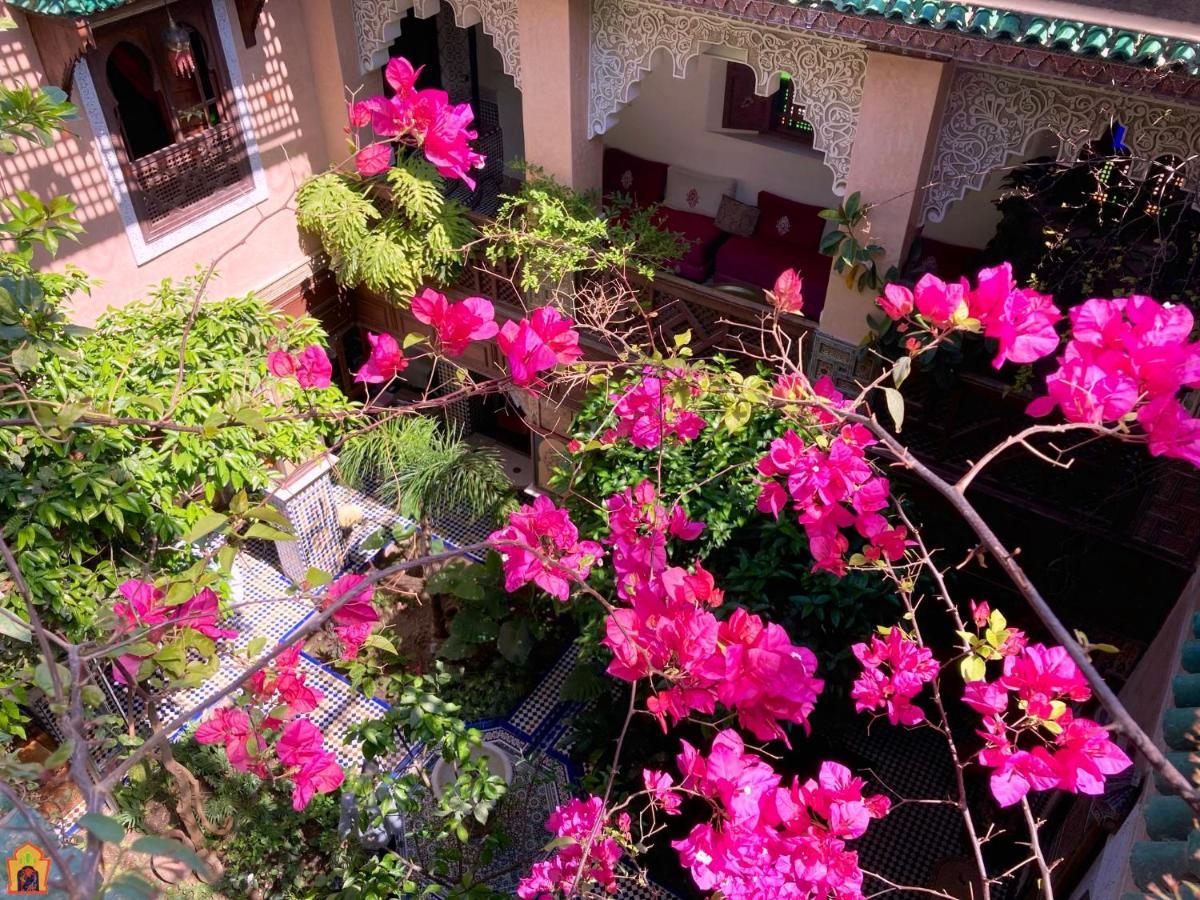 Toyour- Of Birds Riad 3*