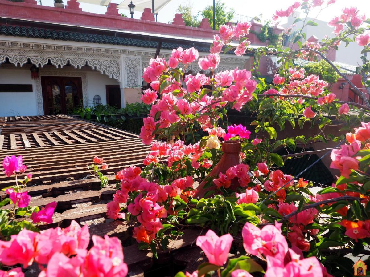 Toyour- Of Birds Riad 3*