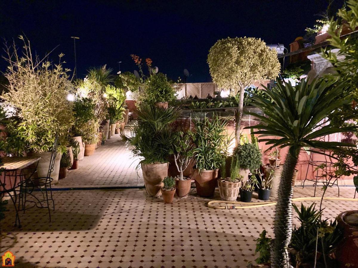 Toyour- Of Birds Riad 3*