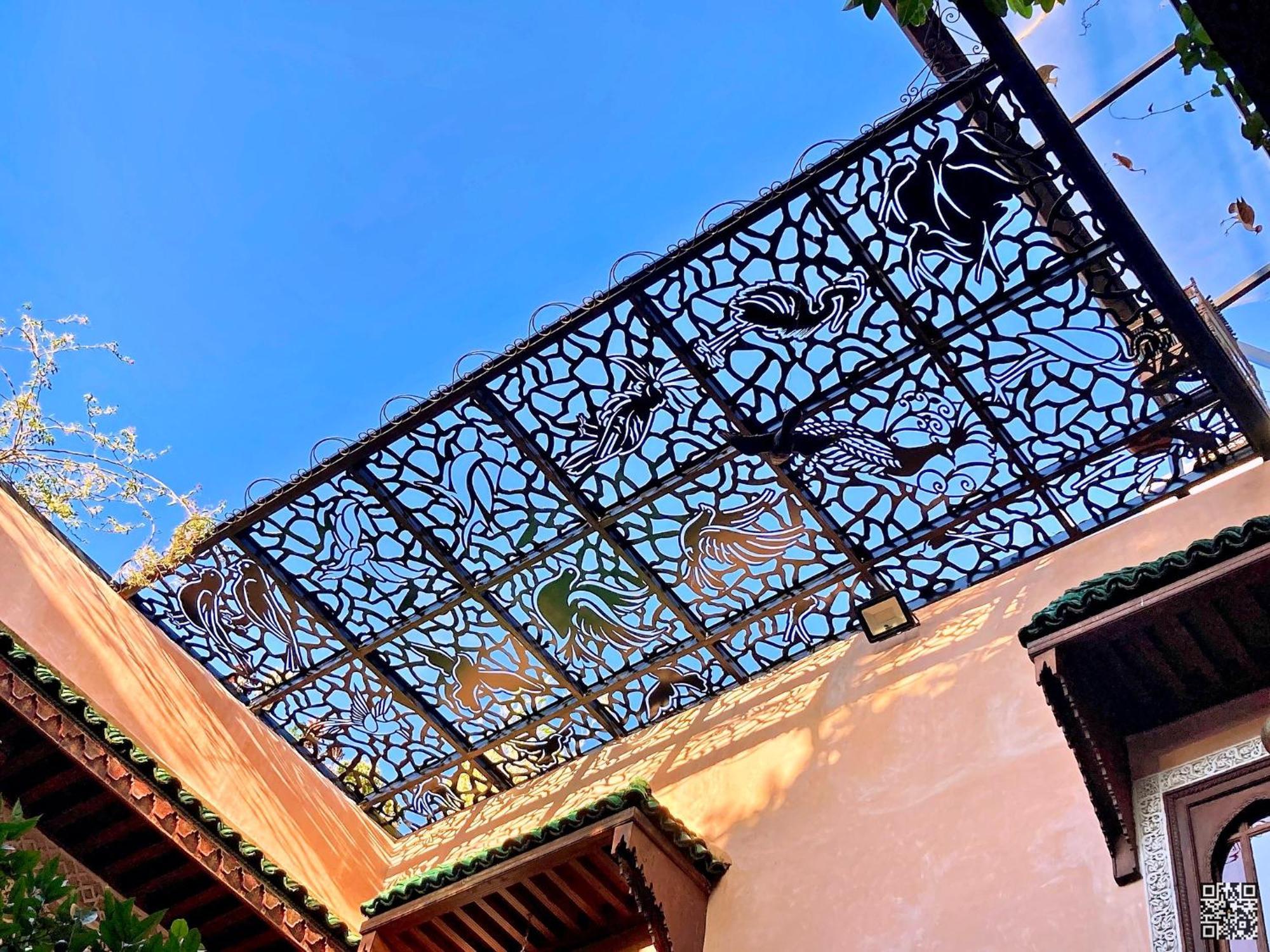 Toyour- Of Birds Riad