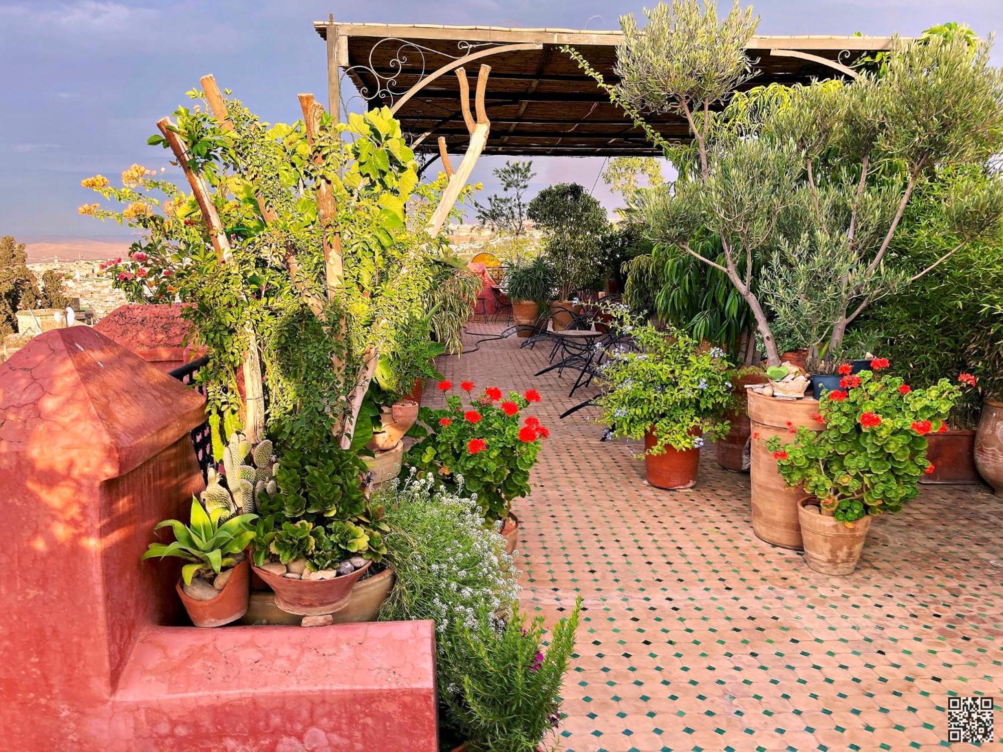Toyour- Of Birds Riad 3*