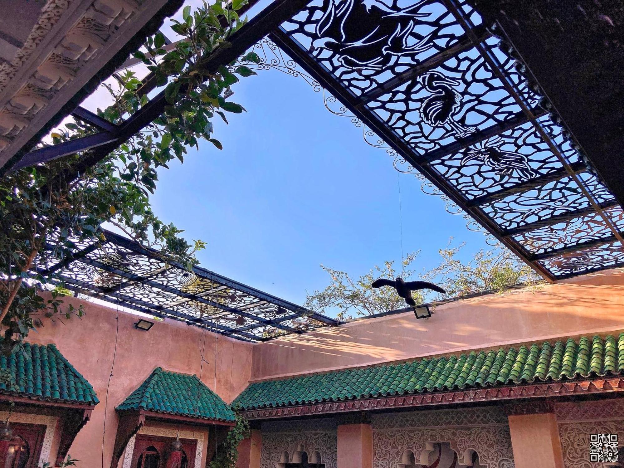 Riad Toyour- Of Birds Fès
