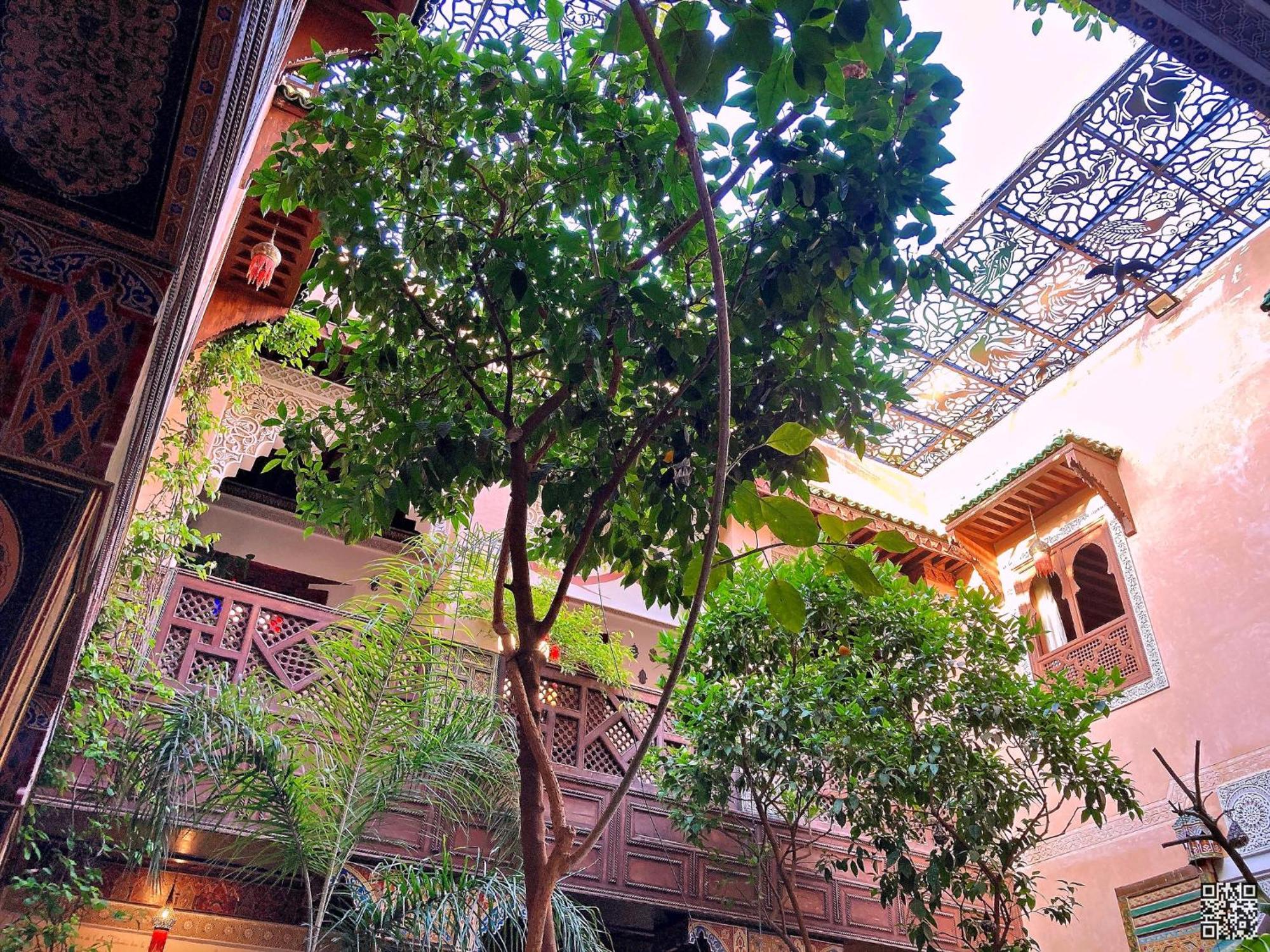 Riad Toyour- Of Birds Fez
