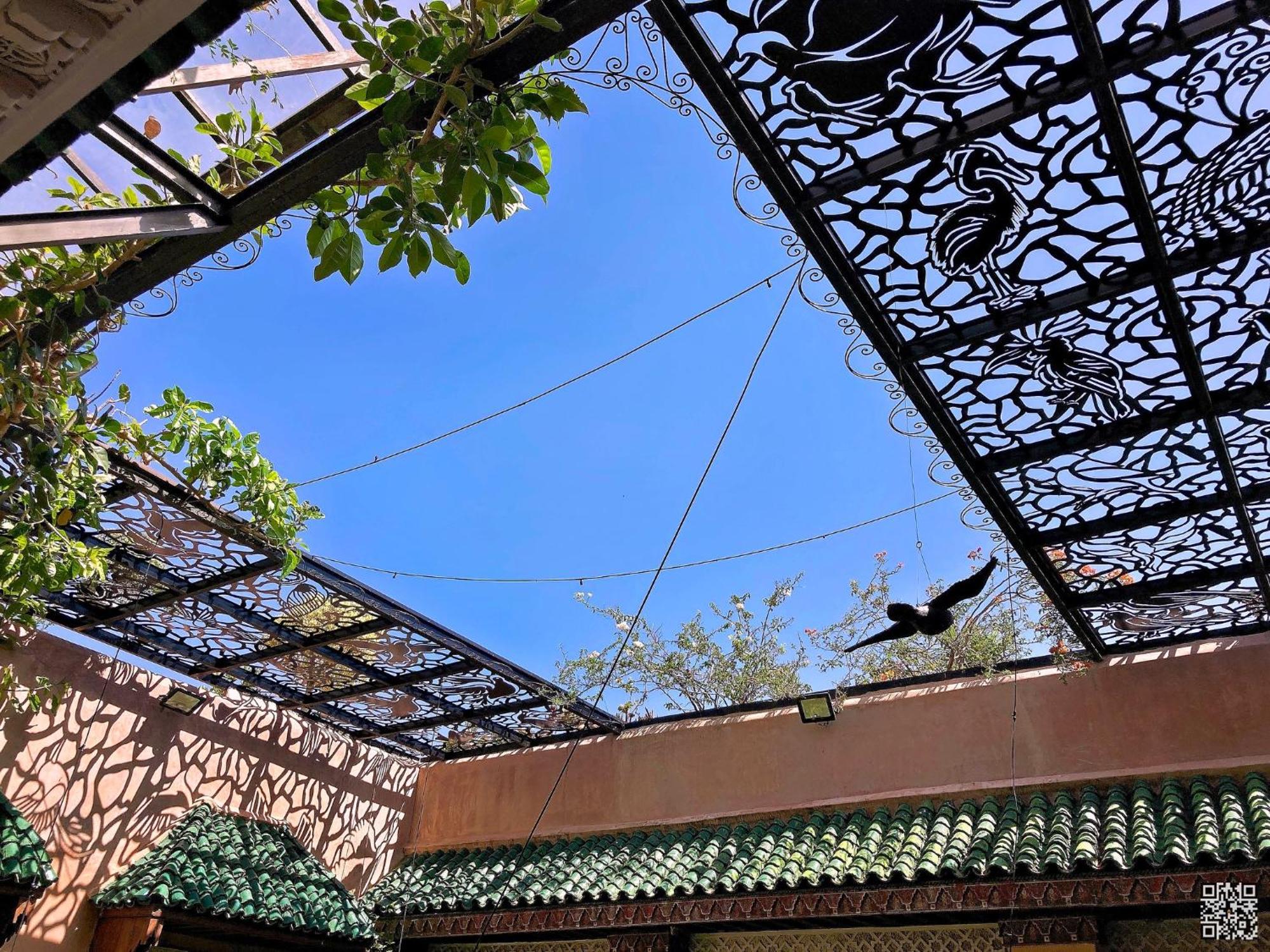 Riad Toyour- Of Birds Fez