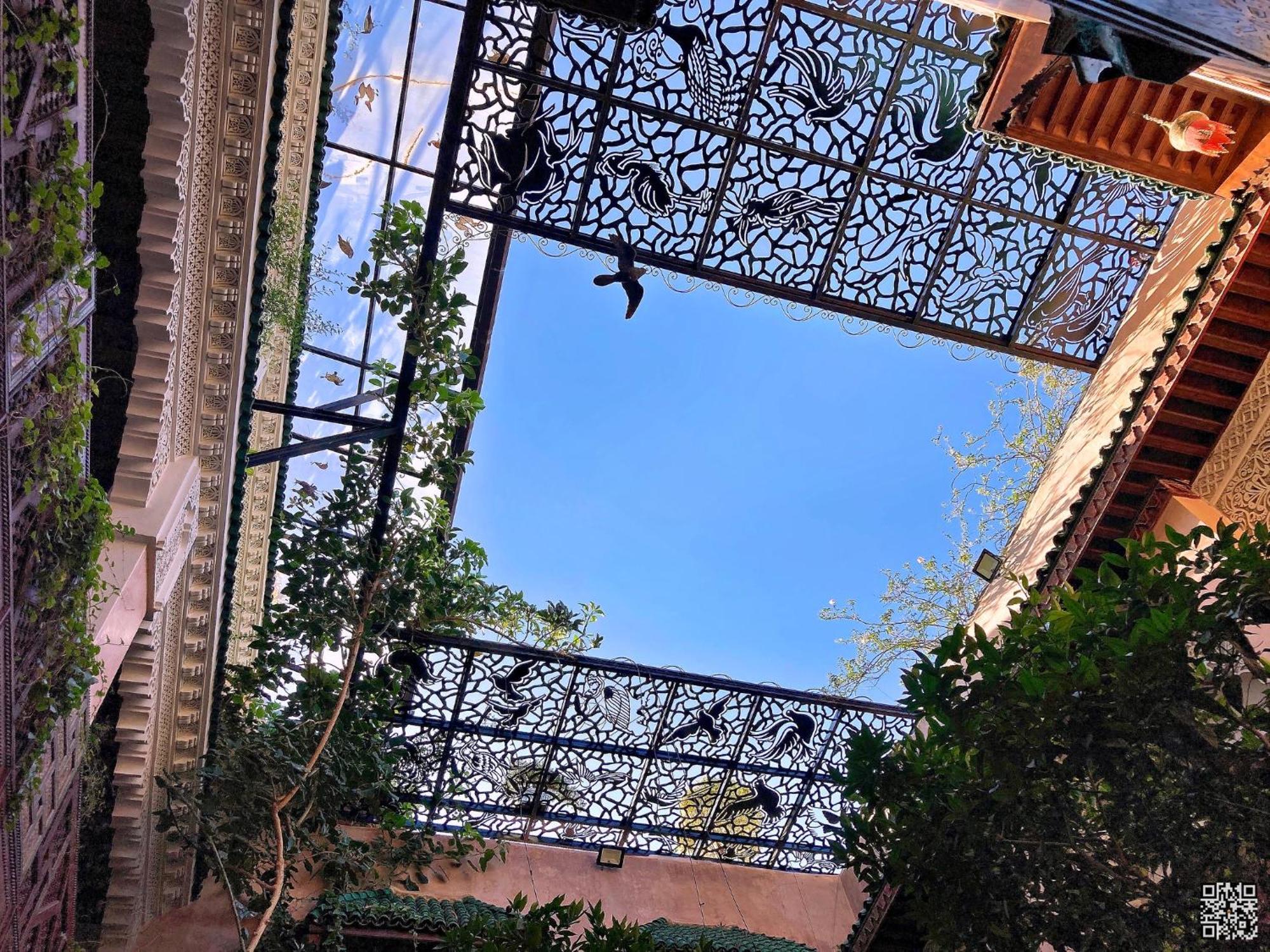 Toyour- Of Birds Riad 3*