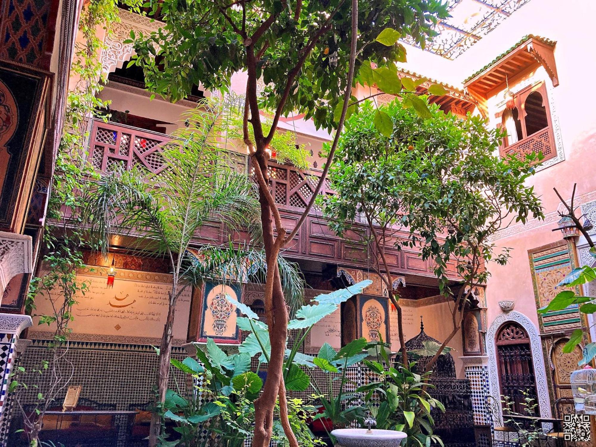 Riad Toyour- Of Birds 3*