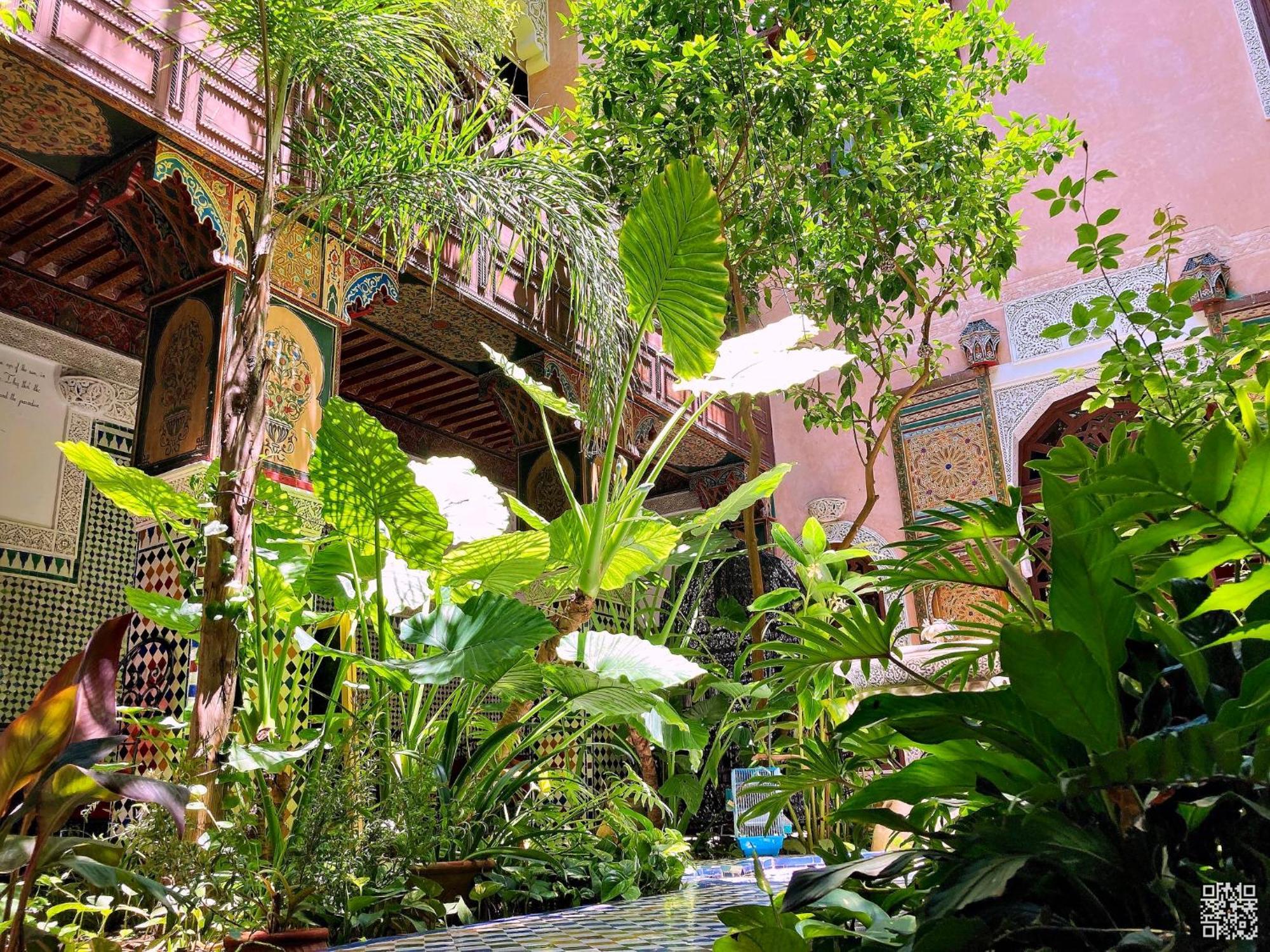 Toyour- Of Birds Riad 3*