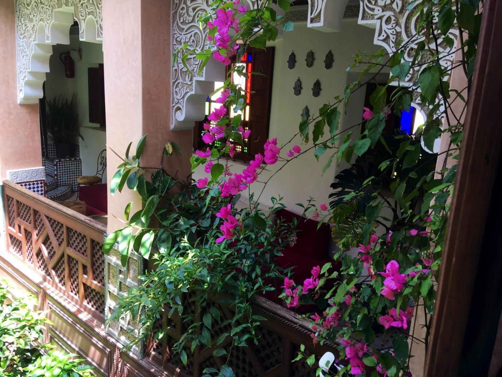 Toyour- Of Birds Riad 3*