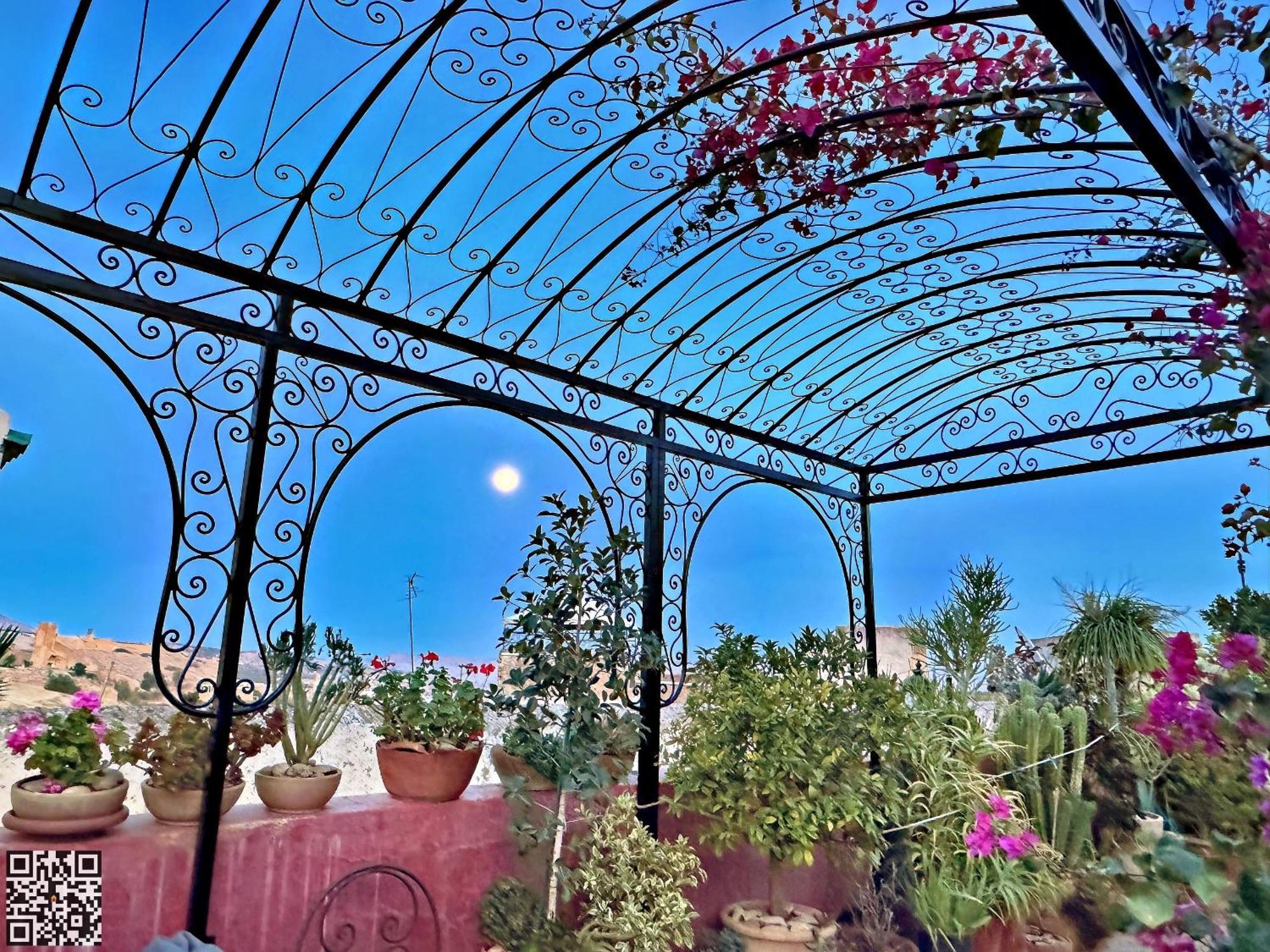 Toyour- Of Birds Riad 3*