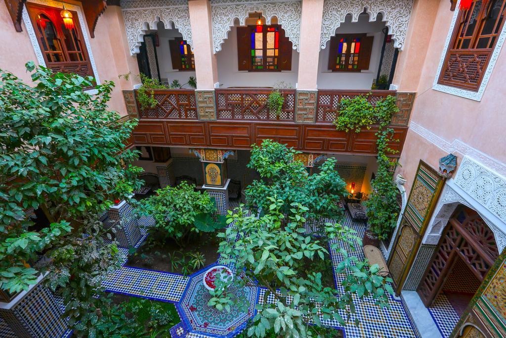 Riad Toyour- Of Birds