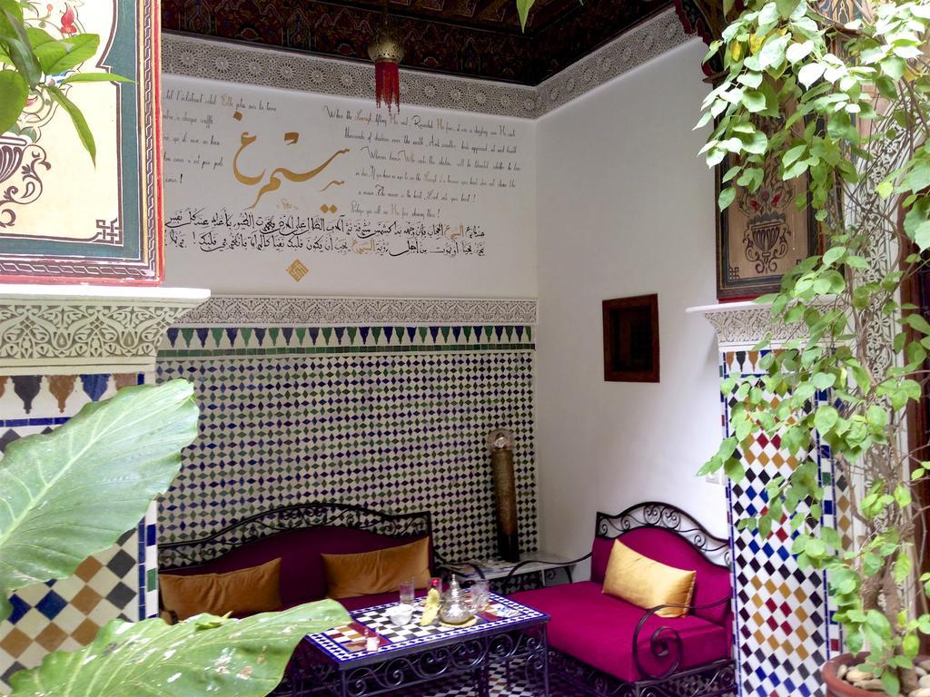 Riad Toyour- Of Birds 3*