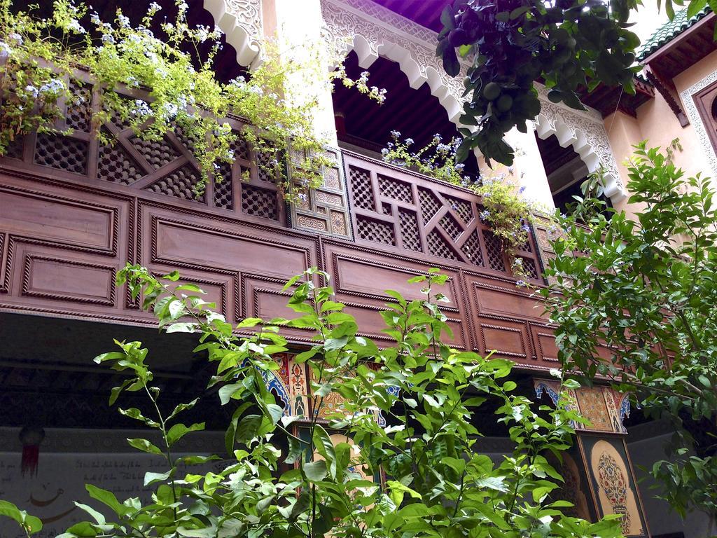 Toyour- Of Birds Riad Fez