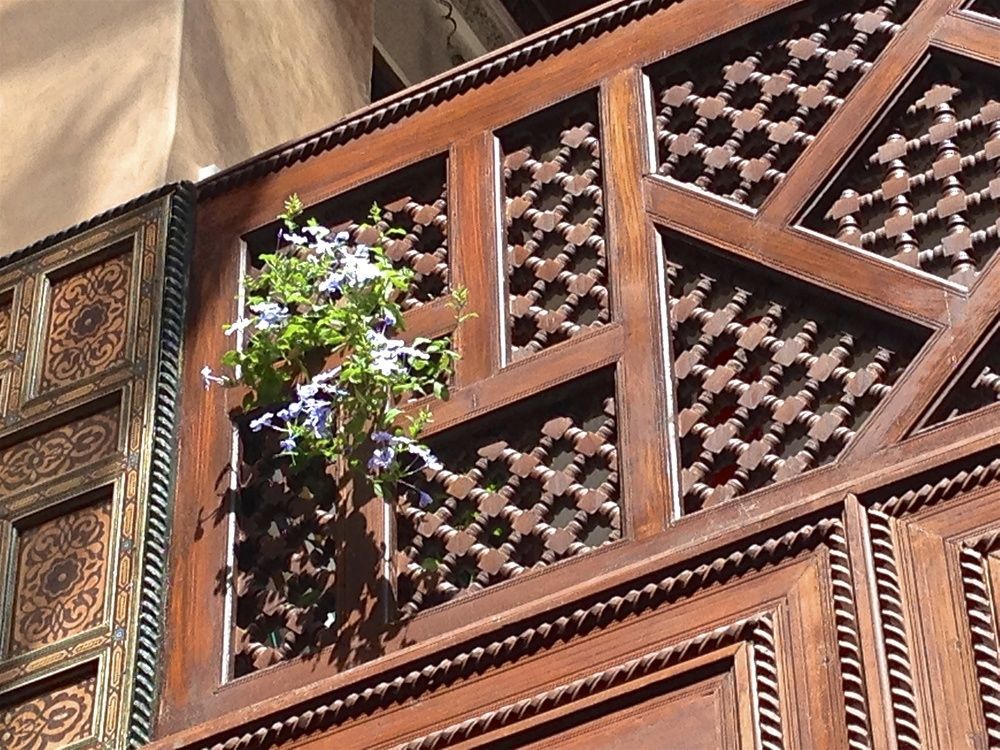 Riad Toyour- Of Birds