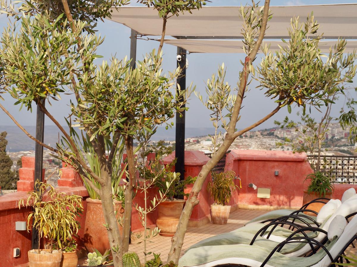 Riad Toyour- Of Birds 3*