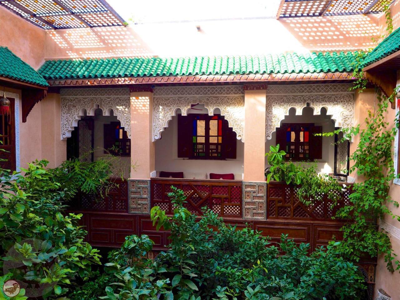 Toyour- Of Birds Riad