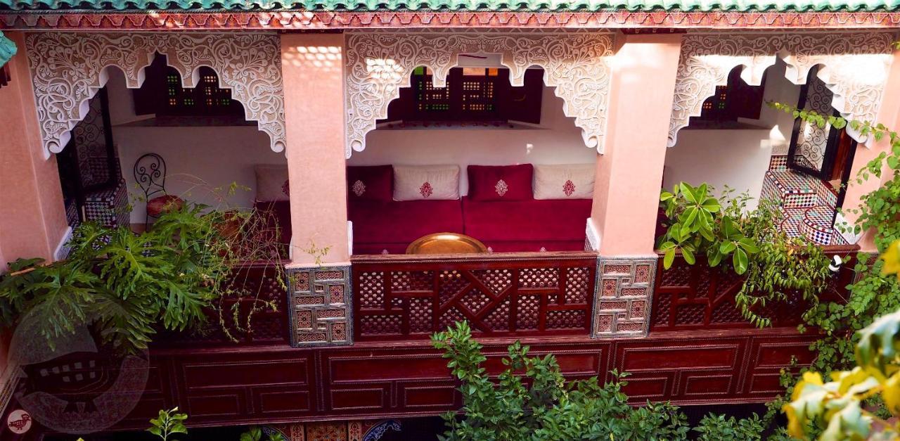 Riad Toyour- Of Birds