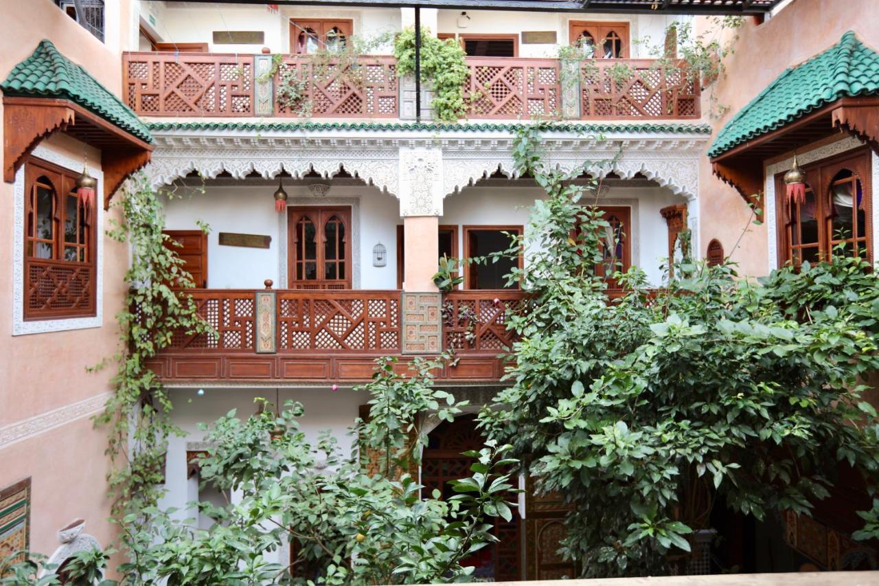 Toyour- Of Birds Riad 3*