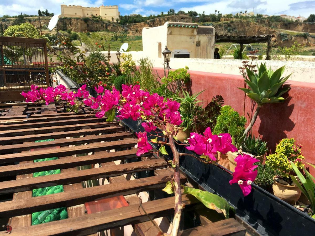 Toyour- Of Birds Riad 3*