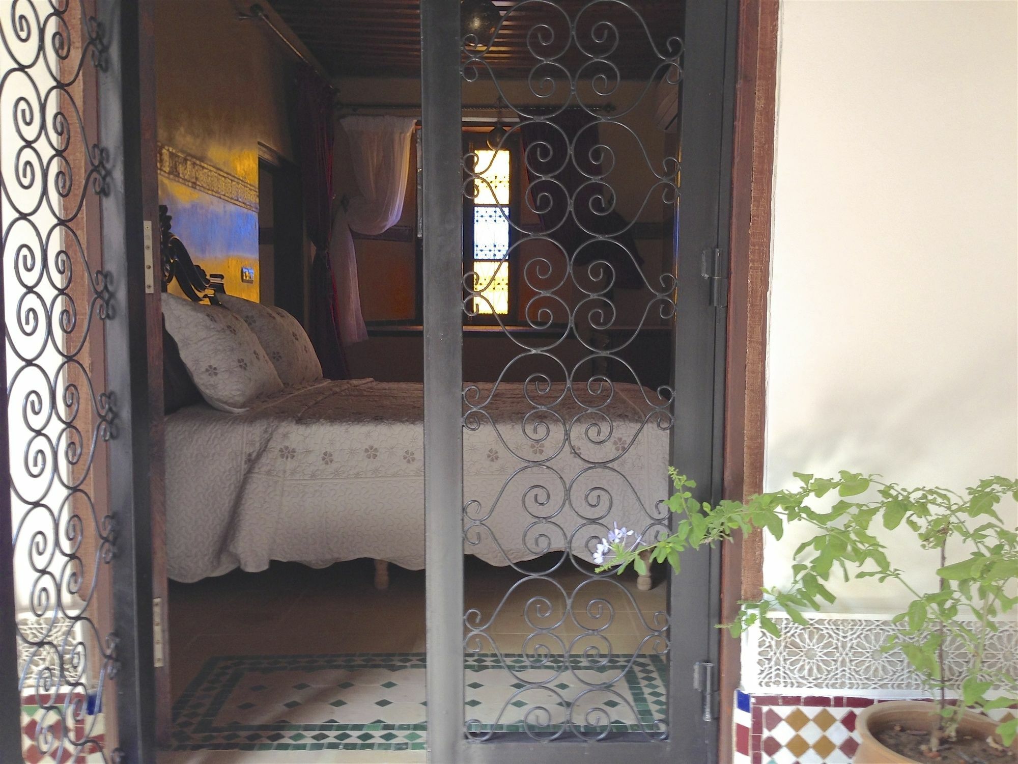Toyour- Of Birds Riad