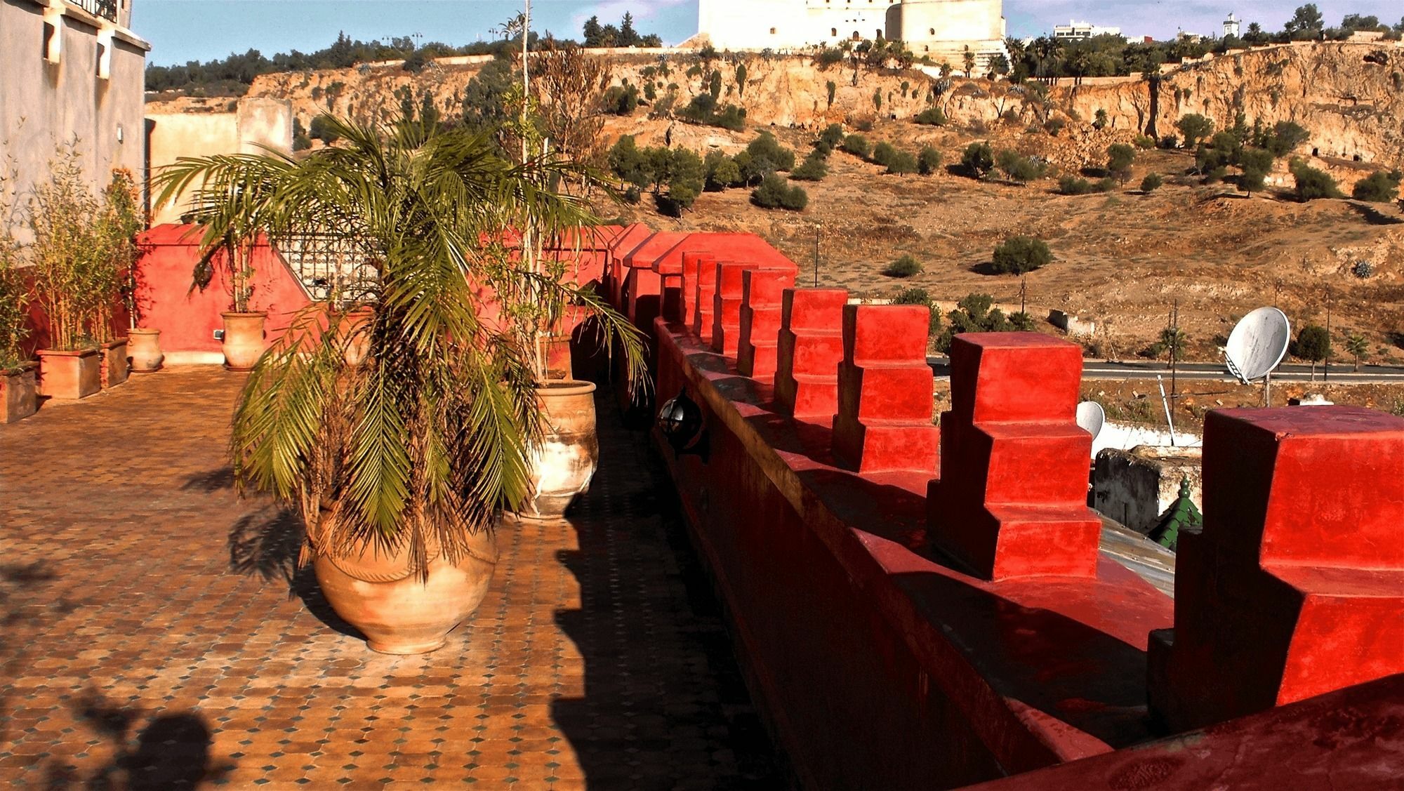 Toyour- Of Birds Riad 3*