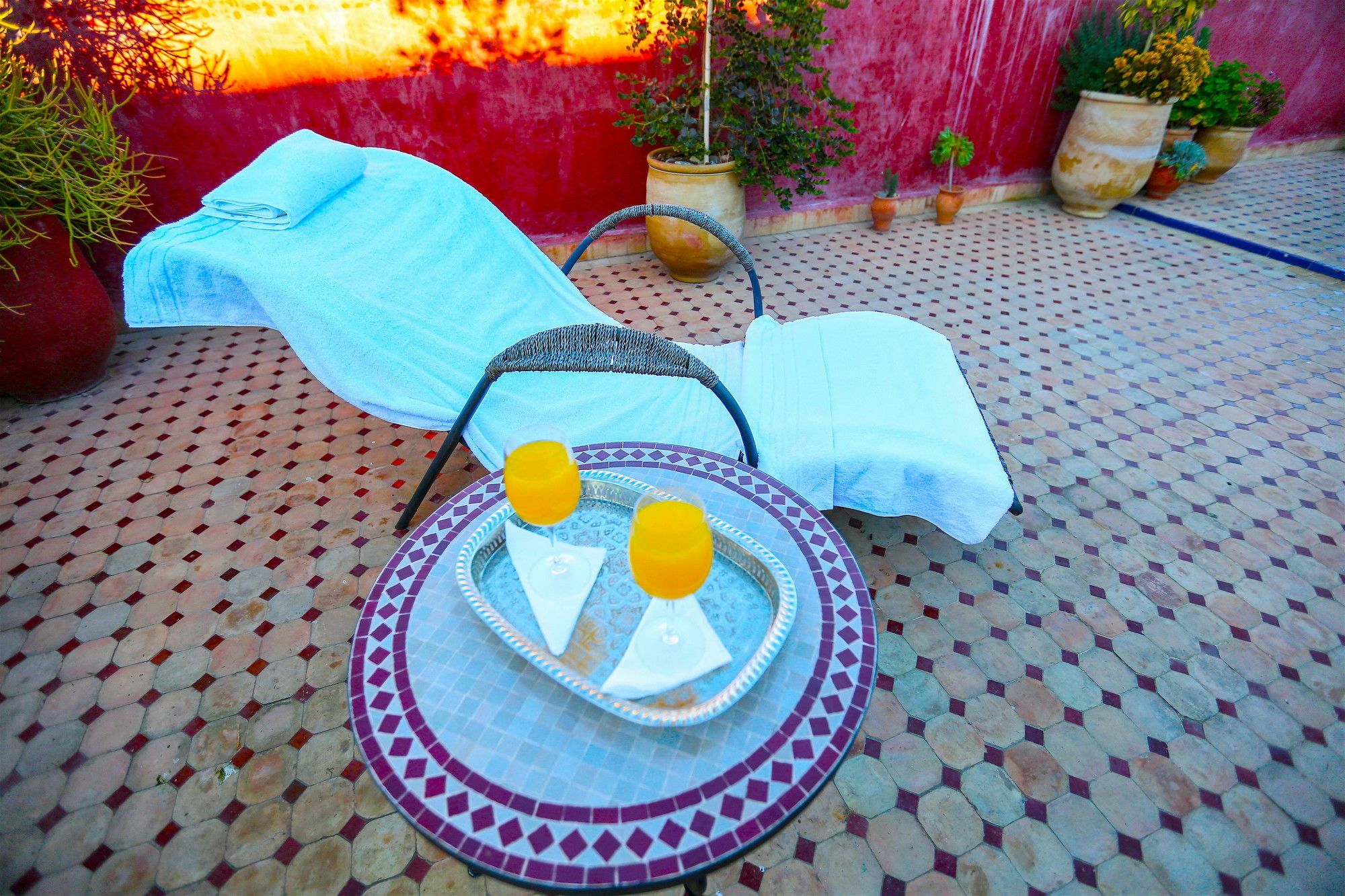 Toyour- Of Birds Riad