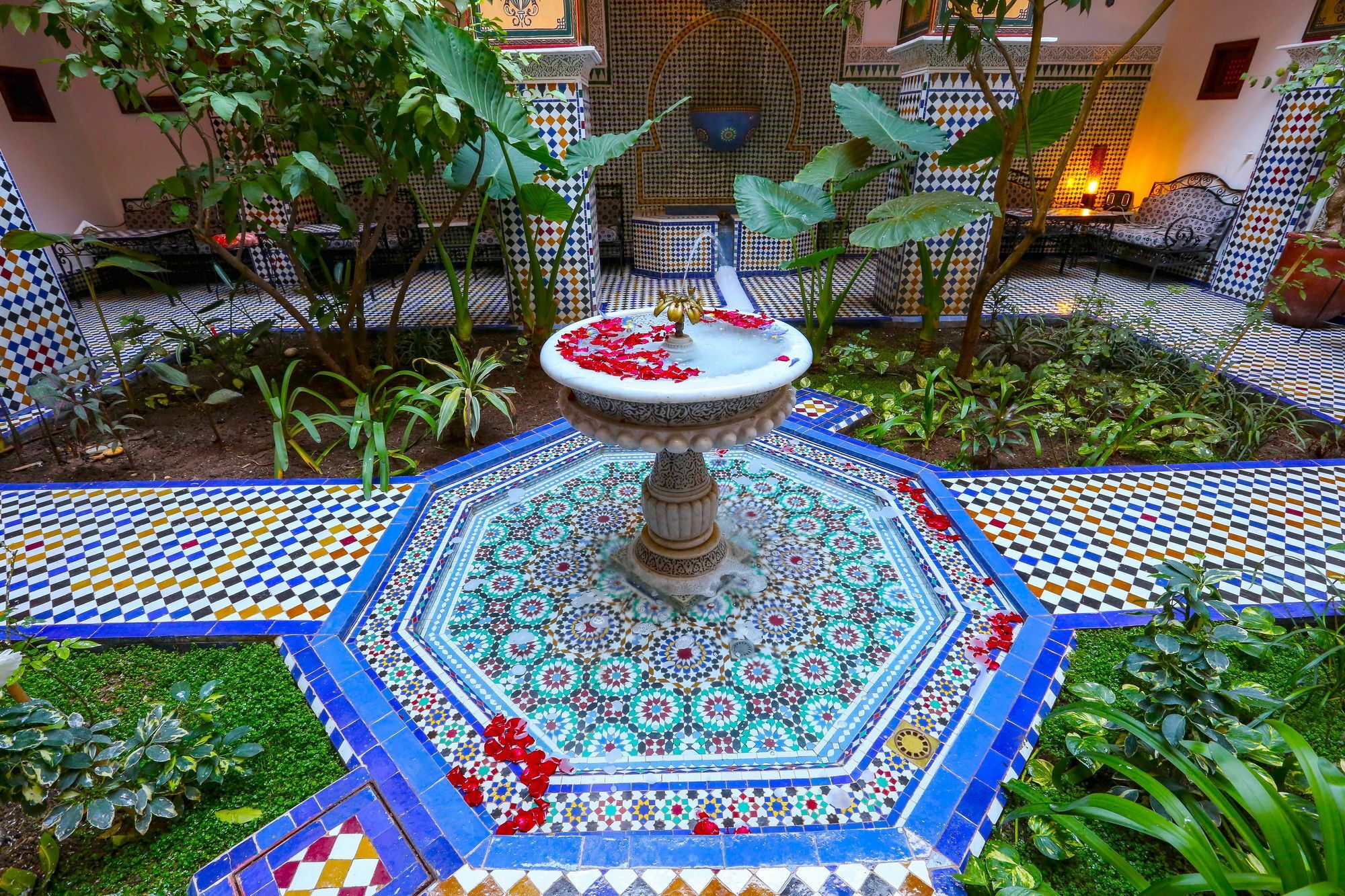 Toyour- Of Birds 3* Fez